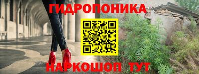 ПСИЛОЦИБИНОВЫЕ ГРИБЫ Заводоуковск