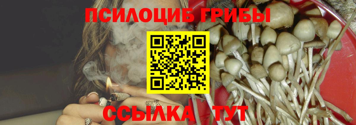 Мирный  Псилоцибиновые грибы ЛСД  Вход с VPN 